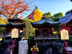 -浅草寺