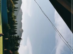 -趣玩宠物乐园寄养训犬训狗游泳池