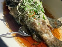 -紫阳家宴(源深店)