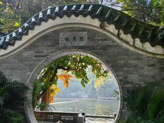 -荔湾湖公园