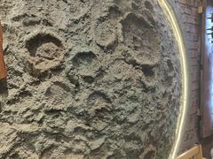 -破瓦寒窑·地摊烤羊排