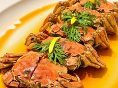 -悦融·京鲁菜·露台花园(安定门店)