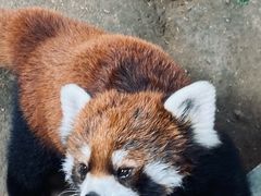 -辛玛王国游乐园