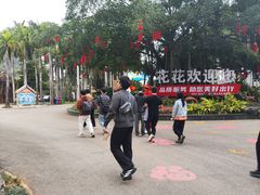 -南宁花花大世界景区
