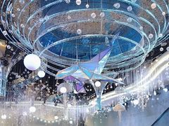 -尊立方海鲜酒店·生日宴·家宴