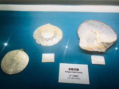 -青岛贝壳博物馆