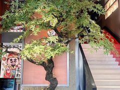 -苏淮景·苏闽融创菜·海鲜(原空港井河轩店)