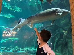 -华夏文旅海洋公园