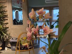 -施奈儿.洗头頭療.按摩SPA.采耳(上梅林店)