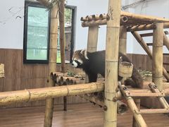 -无锡动物园·太湖欢乐园
