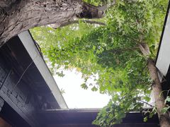 -古耳咖啡(北锣店)
