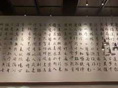 -羲和雅苑•北京烤鸭(乐园道万象城店)