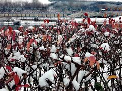 -西安汉城湖景区