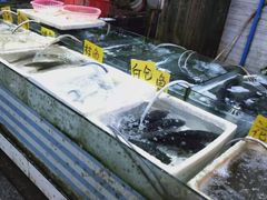 水产区-珠光市场(文德南路)