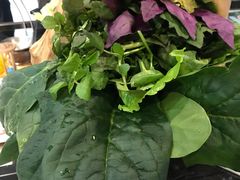 -东椰·海南椰子鸡火锅(朝阳门店)