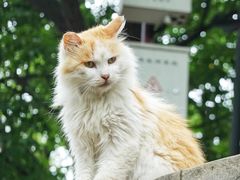 -慕田峪长城