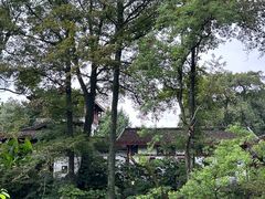 -九曲溪竹筏码头