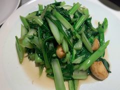 菜心-城南往事(滨江世茂店)