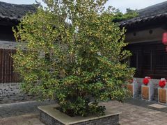 -茅山东方盐湖城景区