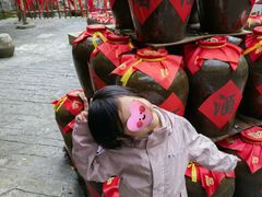 -刘伯温故里景区百丈漈