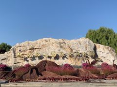 -北京西山国家森林公园