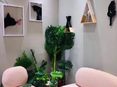 -藏猫猫咖啡主题馆(中央大道店)