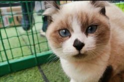 -萌宠亲子动物乐园(槐房万达店)