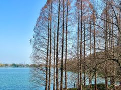 -郭庄景区