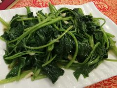 蒜蓉番薯叶-化州大众美食城(宝安老牌店)