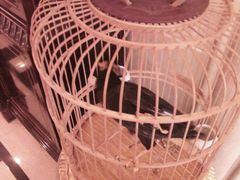 -月亮河温泉度假酒店