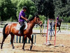 -月河湾马术俱乐部(朝阳店)