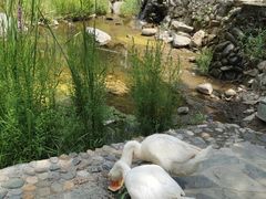 -灵溪风景区