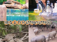 -长鹿旅游休博园