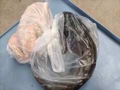 -亲子百果农庄