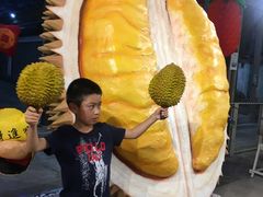 -都念榴莲·城市榴莲