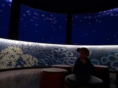 -沈阳海洋探索中心