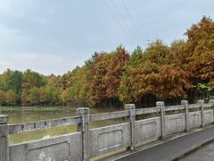 -上海海湾国家森林公园