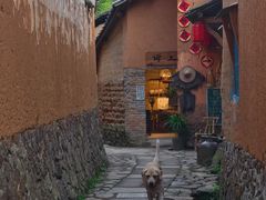 -杨家堂村