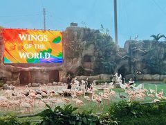 -新加坡飞禽公园