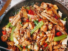 平锅-蛙舍·炭烧牛蛙(东百中心店)
