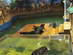 -锦艺城海洋馆