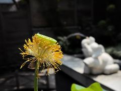 -花锦堂·隐庐