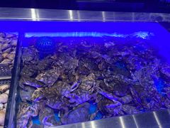-SEA西雅图海鲜自助餐厅(海乐世界店)