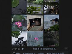 -西湖文化广场
