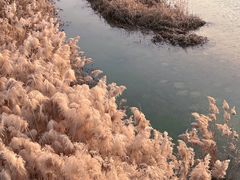 -西安浐灞国家湿地公园