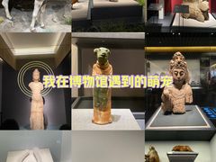-四川大学博物馆