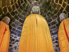 -白水寺森林公园