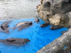 -华夏文旅海洋公园