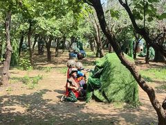 -亲兄弟真人CS团建拓展基地