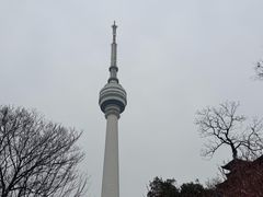 -龟山风景区-龟山电视塔